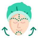 Endoscopic Facelift