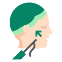 Endoscopic Temporal Lift